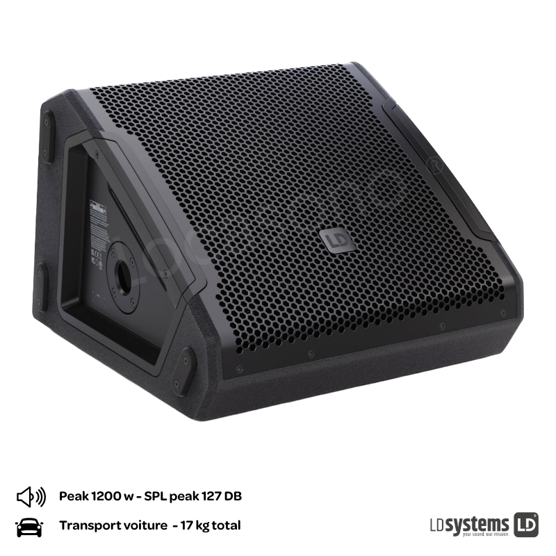 Retour de scène - actif 12"